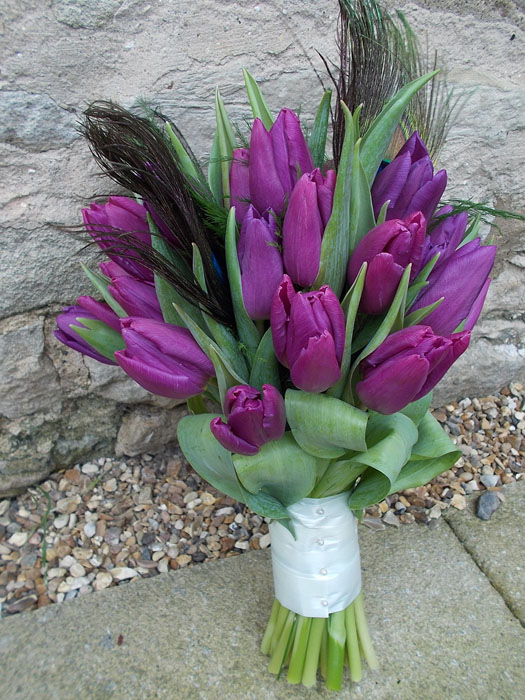 Always More to Learn — Kim's Seed to Vase Story