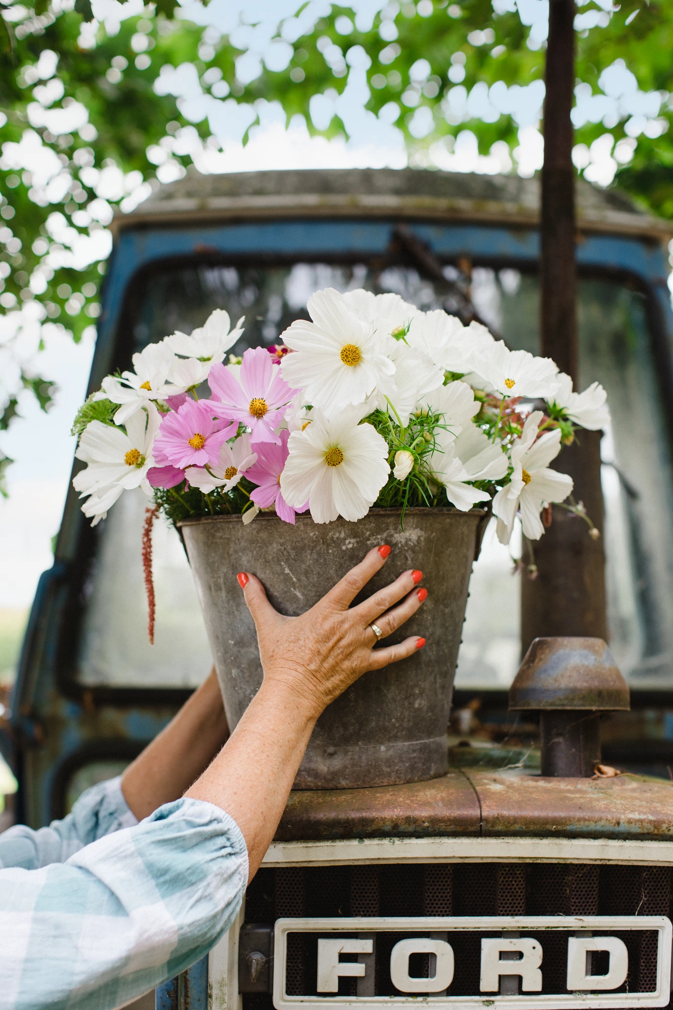 Buy British Flowers