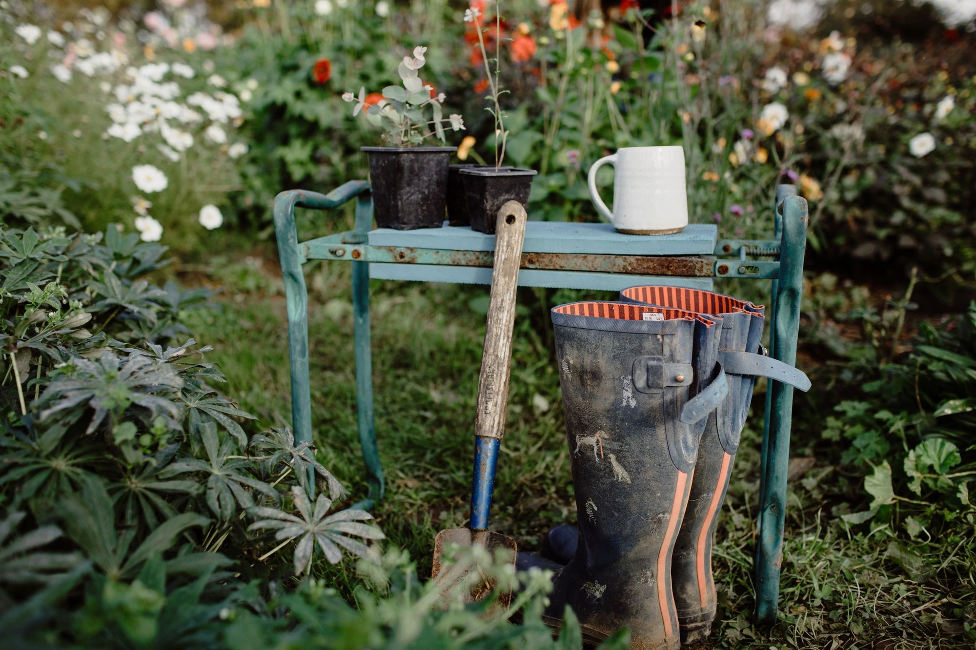 Learn to Grow Flowers